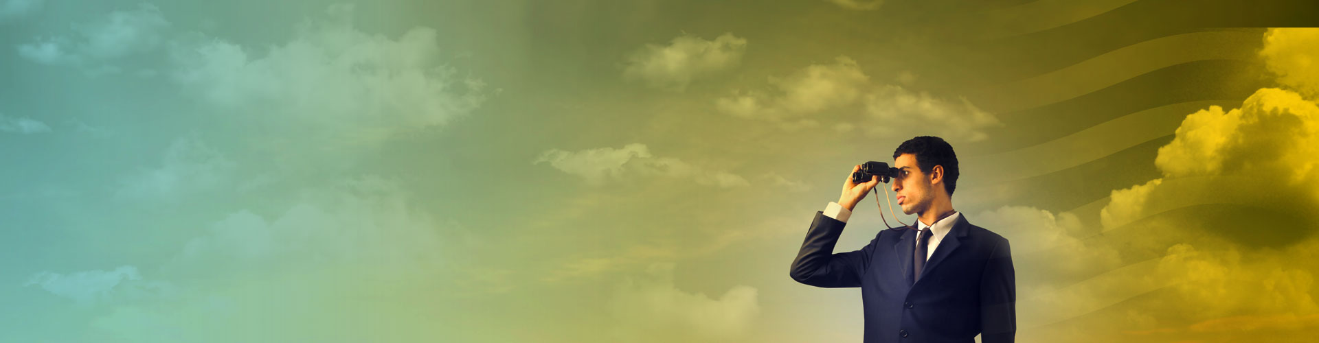 Web Designer, PHP Developer, ASP.net Developer, SEO
